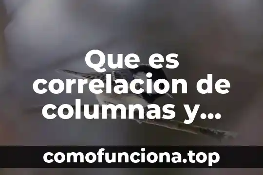 Que es la correlación lineal los tipos en estadistica 8 Que es correlacion de columnas y ejemplos