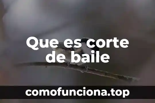 Que es un estudio de corte transversal 4 Que es corte de baile