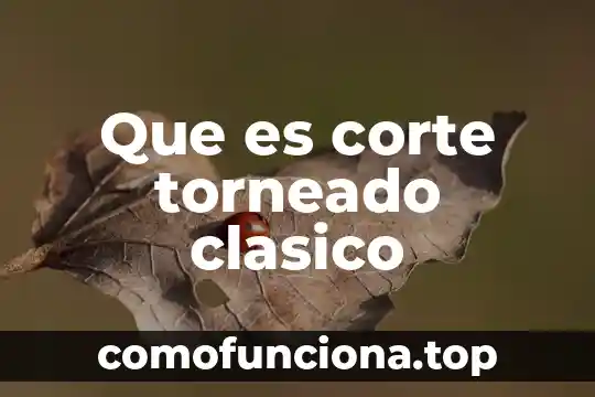 Que es el periodo clasico que significa 5 Que es corte torneado clasico