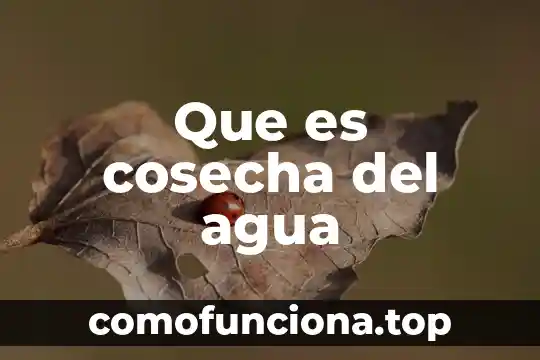 Agua purificada definición 8 Que es cosecha del agua