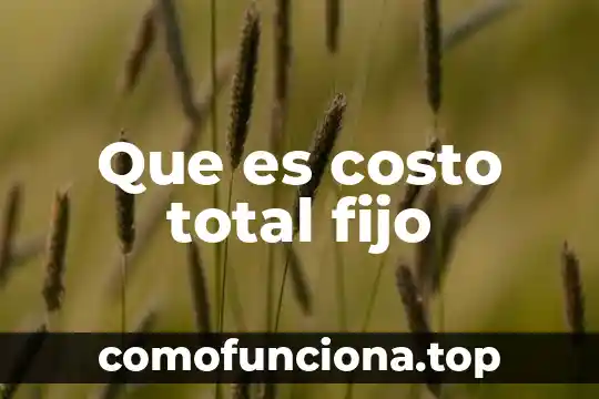 Que es tarifa costo 3 Que es costo total fijo