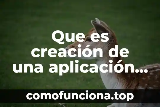 Que es una creacion de arte 6 Que es creaci贸n de una aplicaci贸n en informatica