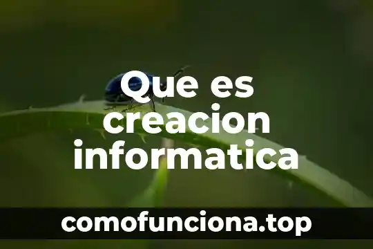 Que es una creacion de arte 7 Que es creacion informatica
