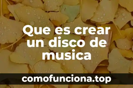 Que es la arquitectura de disco duro 5 Que es crear un disco de musica