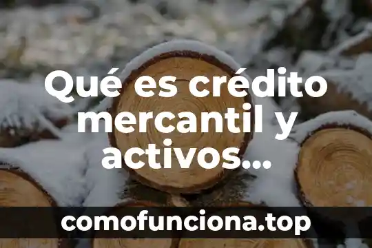 Control de activos fijos que es 6 Qu茅 es cr茅dito mercantil y activos intangibles