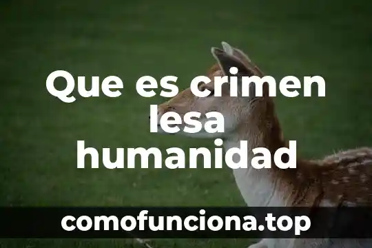Que es censura significado 8 Que es crimen lesa humanidad