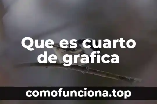Que es la ilustracion historia cuarto grado 3 Que es cuarto de grafica