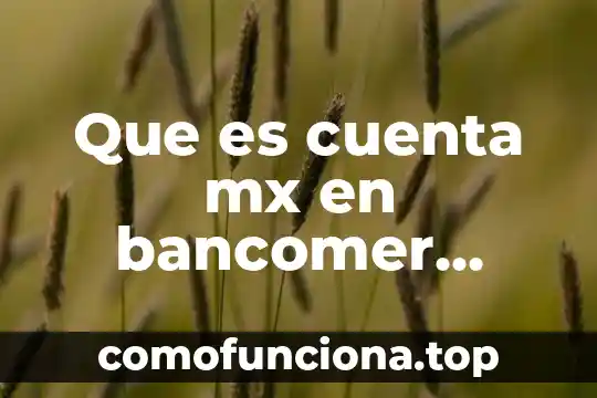 Que es el valor razonable en una cuenta por cobrar 5 Que es cuenta mx en bancomer movil