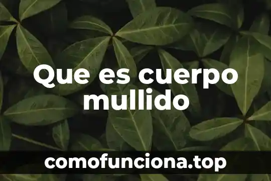 Que es la trallectorra del cuerpo 6 Que es cuerpo mullido