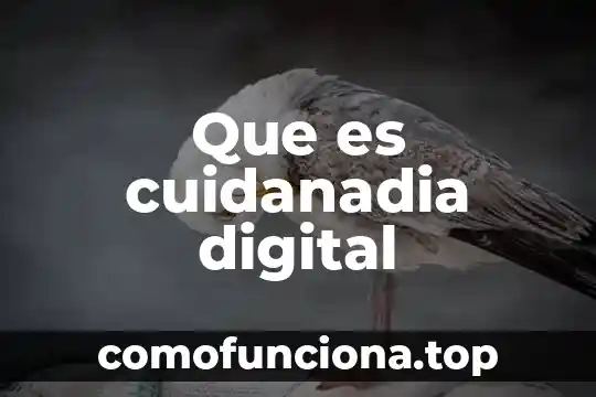 Que es la carrera de animacion y arte digital 8 Que es cuidanadia digital
