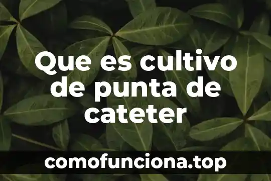 Para que es el papel punta 4 Que es cultivo de punta de cateter