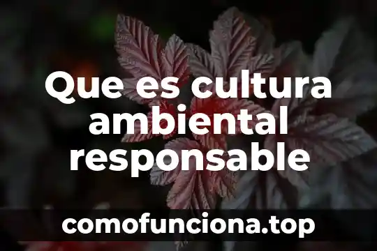 Que es una persona responsable 5 Que es cultura ambiental responsable