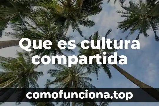 Que es el programa de responsabilidad compartida 5 Que es cultura compartida