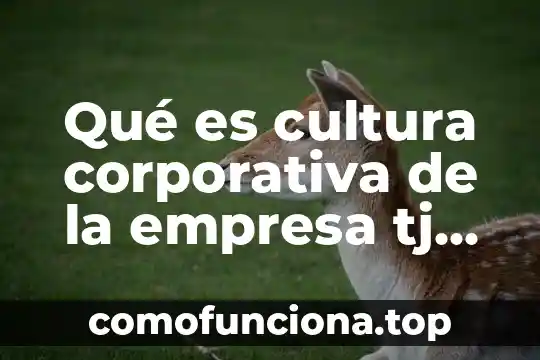 Qué es la cultura en México 7 Qué es cultura corporativa de la empresa tj de mexico