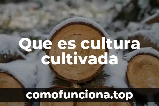 Que es una sociedad de contraste 5 Que es cultura cultivada