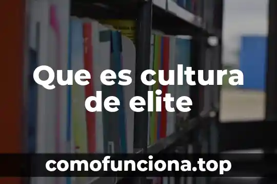 Que es la cultura olmeca cortas 4 Que es cultura de elite