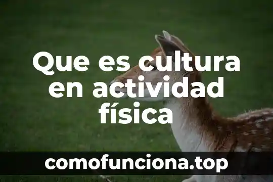 Que es la depreciacion de propiedad planta y equipo 8 Que es cultura en actividad f铆sica