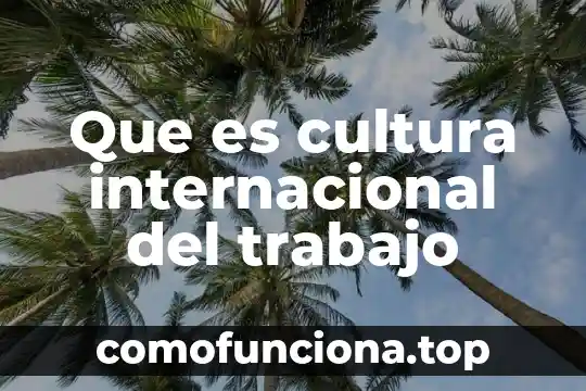 Que es la cámara de comercio internacional icc 6 Que es cultura internacional del trabajo