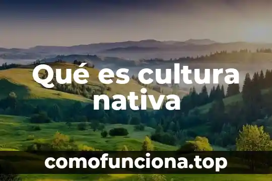 Qué es la cultura hispanoamericana 4 Qué es cultura nativa