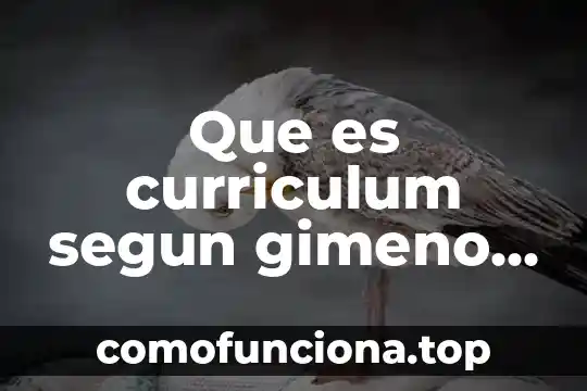 Que es el curriculum oculto ejemplos 6 Que es curriculum segun gimeno sacristan