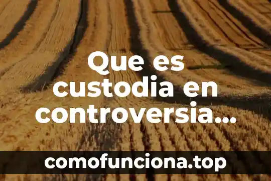 Que es la hiperuricemia familiar 7 Que es custodia en controversia familiar guarda
