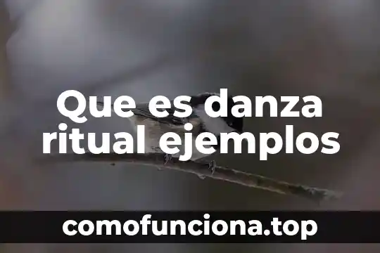 Que es adware ejemplos 6 Que es danza ritual ejemplos