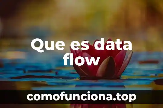 Que es y para que sirve flow 3 Que es data flow