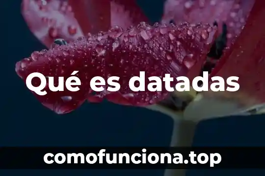 Virtronics que es 4 Qué es datadas