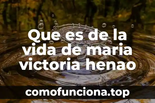 Que es idea o concepto 3 Que es de la vida de maria victoria henao
