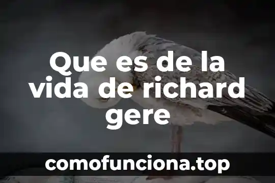 Qué es esperanza de vida definición 7 Que es de la vida de richard gere