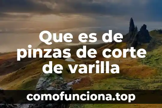 Que es la clave sol y peyagrama y compas 8 Que es de pinzas de corte de varilla