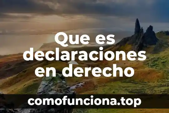 Que es el patrimonio en derecho segun zachary levi 7 Que es declaraciones en derecho