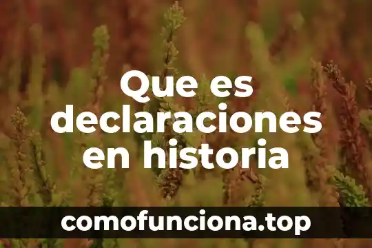 Que es origen e historia 8 Que es declaraciones en historia