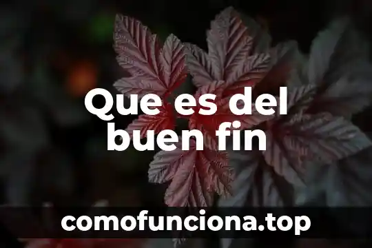 Informacion que es ser un buen estudiante 4 Que es del buen fin