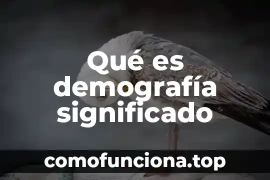 Que es flogisto significado 6 Qué es demografía significado