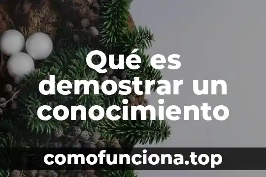 Qué es demostrar matemáticamente 5 Qué es demostrar un conocimiento