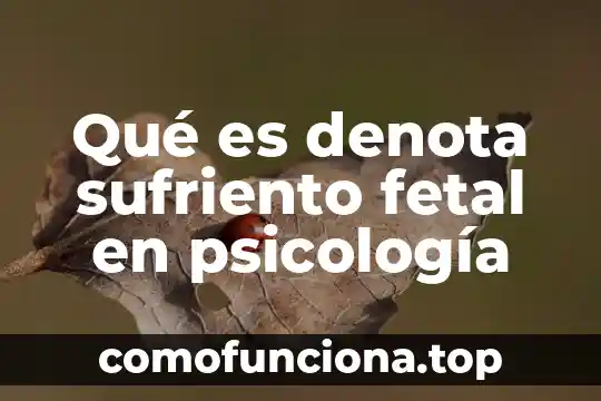 Que es el pensamiento de caracter educativo 4 Qué es denota sufriento fetal en psicología