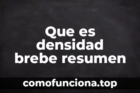 Que es la hermeneutica teoria del conocimiento 3 Que es densidad brebe resumen