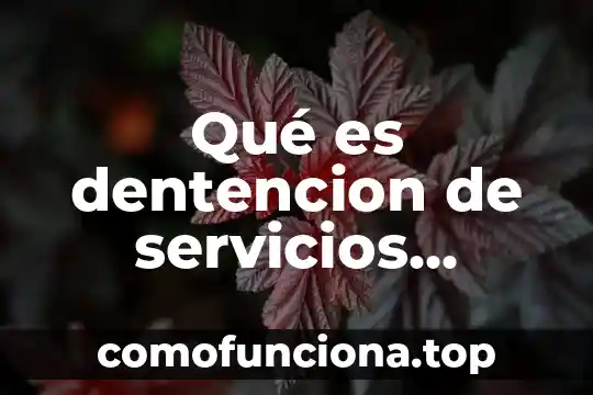 Que es ecoturismo y pago por servicios ambientales 3 Qué es dentencion de servicios interativos