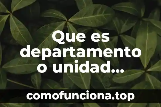 Qué es un movimiento en una cuenta 6 Que es departamento o unidad opcional
