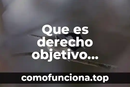 Que es vicio oculto en derecho 8 Que es derecho objetivo ejemplo