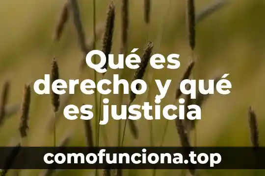 Qué es tangencial en derecho 7 Qué es derecho y qué es justicia