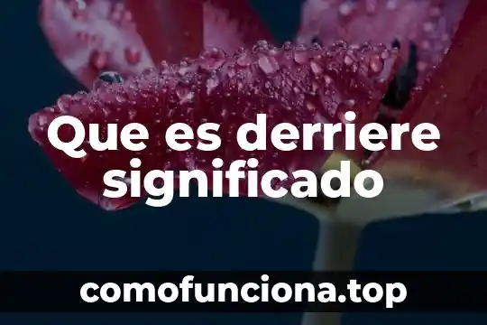 Qué es apresto significado 3 Que es derriere significado