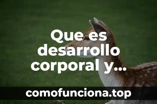Qué es motricidad fina en educación física 4 Que es desarrollo corporal y motricidad
