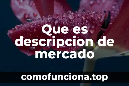 Que es la sexualidad del amor 3 Que es descripcion de mercado