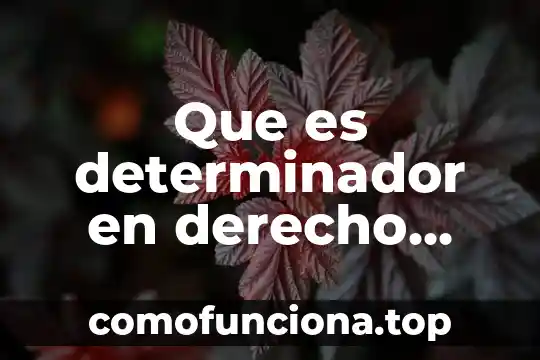 Que es el patrimonio en derecho segun zachary levi 4 Que es determinador en derecho penal colombiano