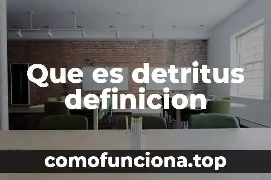 Qué es definición de ética 3 Que es detritus definicion