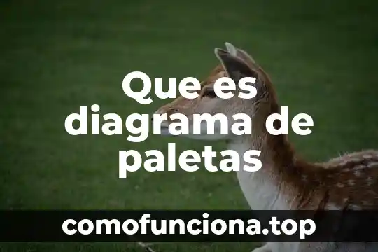 Que es el diagrama de espiral 8 Que es diagrama de paletas