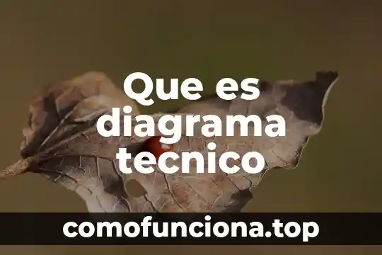 La comision de los derechos humanos que es 4 Que es diagrama tecnico