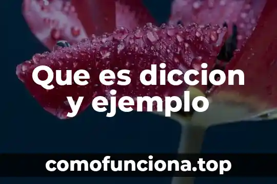 Que es una exposicion por ejemplo tlacuache 5 Que es diccion y ejemplo